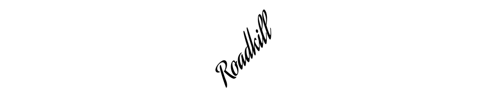 Roadkill Skateboards Store